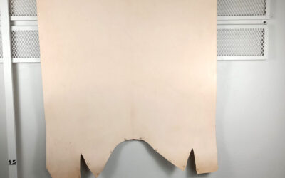 20211110_111507-edited Natural Veg Back