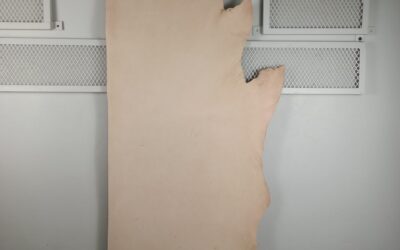 20211110_111732 20211110_111732