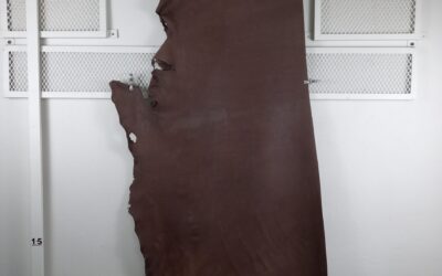 20211110_112141 20211110_112141