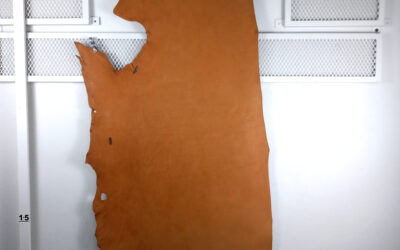 20211110_112510-edited 20211110_112510-edited