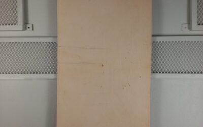 20211110_112708 Natural Veg Shoulder