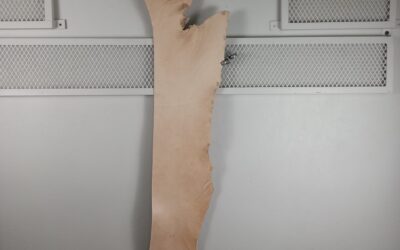 20211110_112841 Natural Veg Bellies