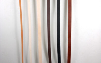 20211110_113114-edited 20211110_113114-edited