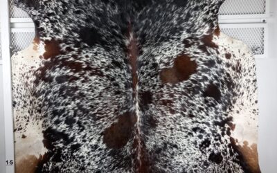 20211110_113424 20211110_113424