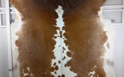 20211110_113715 20211110_113715