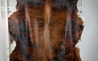 20211110_114017 20211110_114017