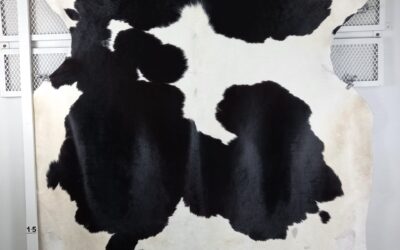 20211110_114533 20211110_114533