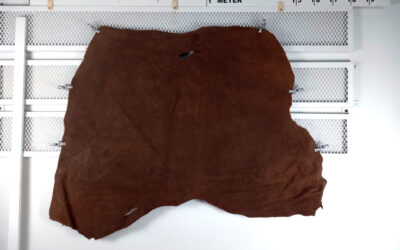 20211110_115036-edited Suade Drop Split